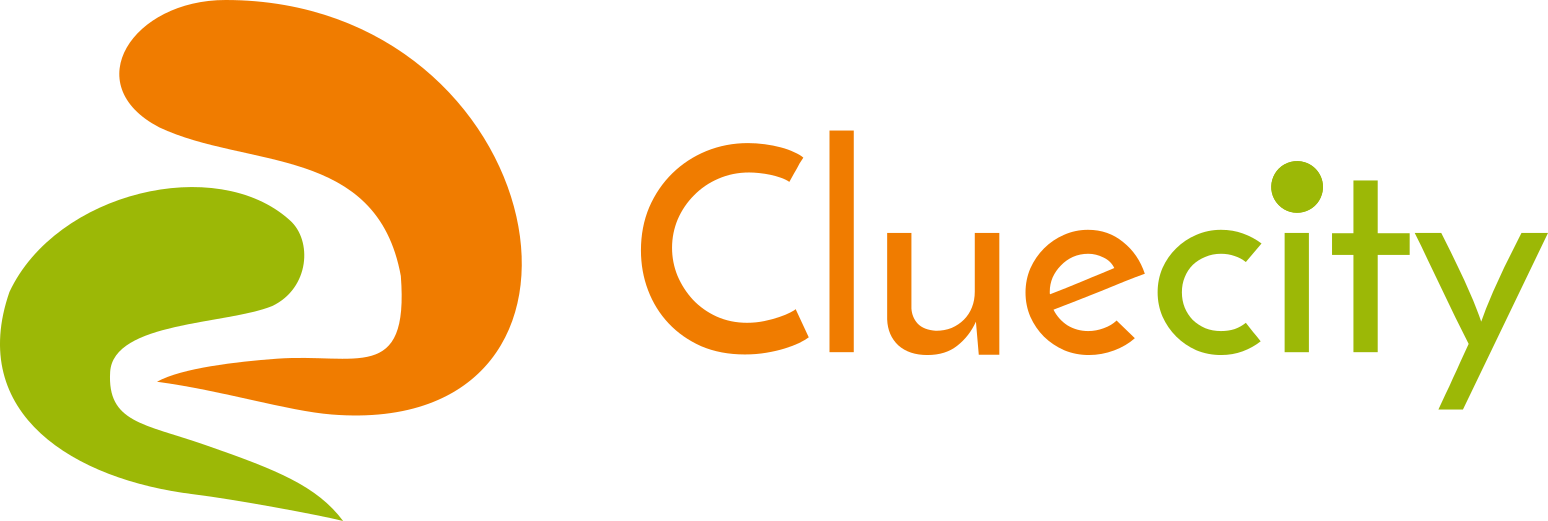 Cluecity Logo
